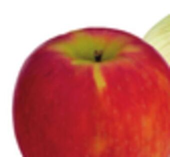 Stop&Shop Rave apples offer