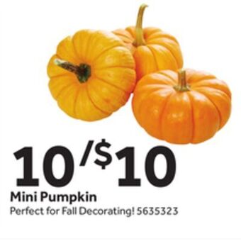Stop&Shop Mini pumpkin offer