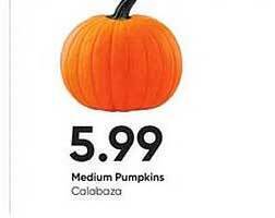 Stater Bros Medium pumpkins offer
