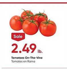 Stater Bros Tomatoes on-the-vine offer