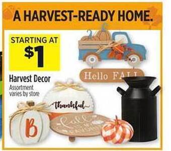 Dollar General Harvest decor offer