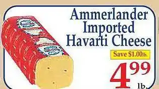 Market Basket Ammerlander imported havarti cheese offer