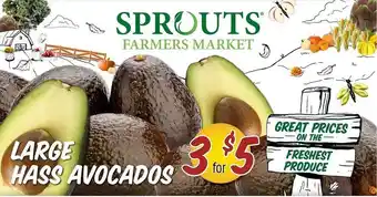 Sprouts Farmers Market Large hass avocados offer