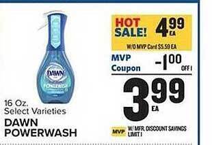 Food Lion Dawn powerwash offer