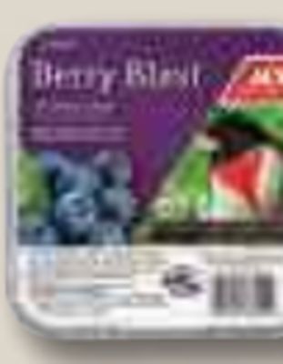 Ace Hardware Bird suet, 11 oz. offer
