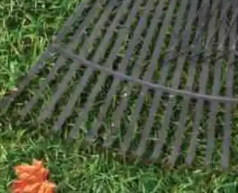 Ace Hardware Ace® • spring brace rake • fiberglass leaf offer