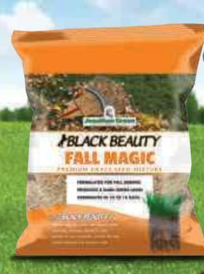Ace Hardware Jonathan green® 3 lb. black beauty grass seed offer
