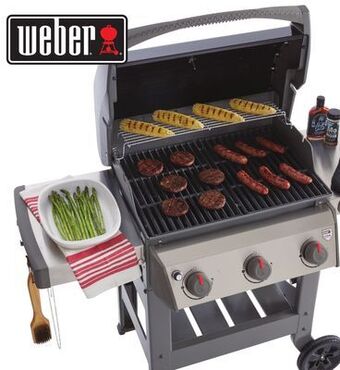 Ace Hardware Weber® spirit® ii e-310™ gas grill offer