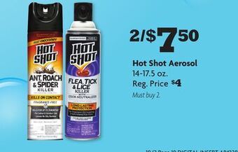 Family Dollar Hot shot aerosol offer
