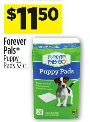 Dollar General Forever pals puppy pads offer