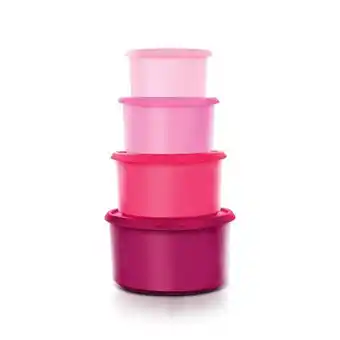 Tupperware One touch® topper canisters (set of 4) offer