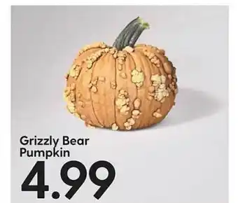 Hy-Vee Grizzly bear pumpkin offer