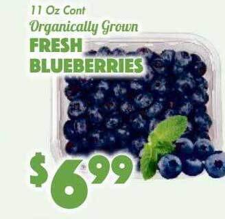 The Food Emporium Fresh blueberries offer