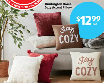 Aldi Huntington Home Cozy Accent Pillow offer