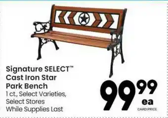 Signature Select Cast Iron Star Parck Bench
