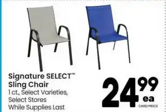Randalls Signature Select Sling Chair offer