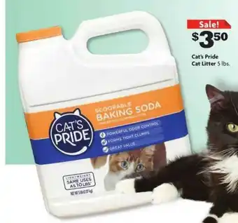 Family Dollar Cat's Pride Cat Litter offer