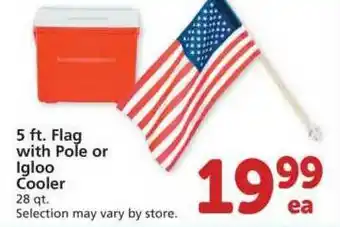 Albertsons 5 Ft. Flag Whit Pole Or Igloo Cooler offer