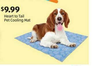 Aldi Heart To Tail Pet Cooling Mat offer