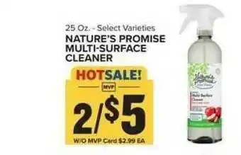 Food Lion Nature's Promise Multi-Surface Cleaner offer