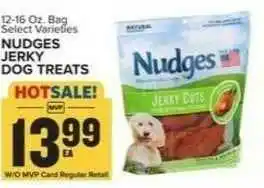 Food Lion Nudges Jerky Dog Treats offer
