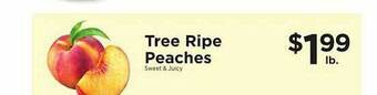 ShopRite Tree ripe peaches offer