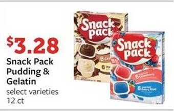 Fareway Snack pack pudding & gelatin offer