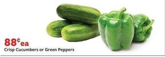 Fareway Crisp cucumbers or green peppers offer