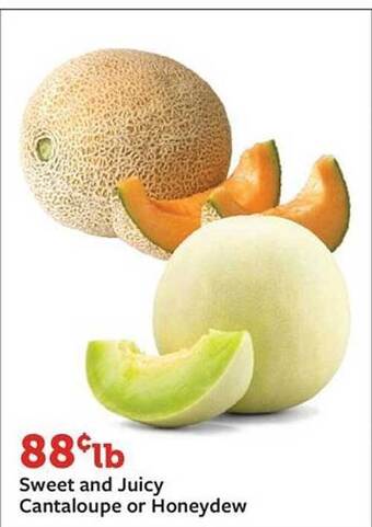 Fareway Sweet and juicy cantaloupe or honeydew offer