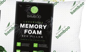Ocean State Job Lot Essence of bamboo memory foam bed pillow offer