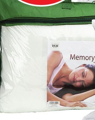 Ocean State Job Lot Sleep design temperature sensitive memory foam pillow offer