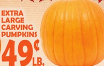 Bravo Supermarkets Extra large carving pumpkins offer