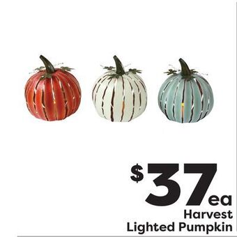 Weis Markets Harvest lighted pumpkin offer