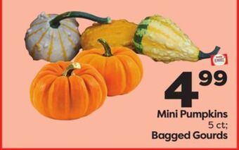 Weis Markets Mini pumpkins 5 ct bagged gourds offer