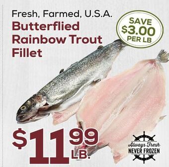 DeCicco & Sons Butterflied rainbow trout fillet offer