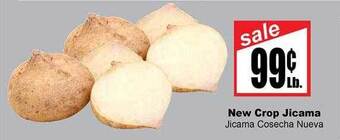 New crop jicama