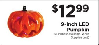 ShopRite 9-inch led pumpkin offer