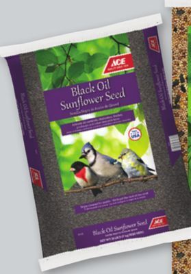 Ace Hardware Ace® 20-lb. black oil sunflower seed offer