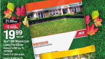 Ace Hardware Ace® 5m winterizer lawn fertilizer offer