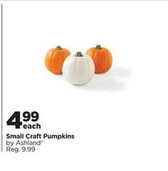 Michaels Small craft pumpkins by ashland offer