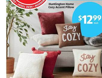 Aldi Huntington home cozy accent pillow offer