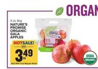 Food Lion Nature's promise organic gala apples offer