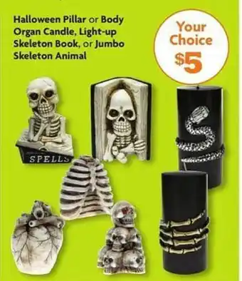 Family Dollar Halloween pillar, body organ candle, light-up skeleton book, or jumbo skeleton animal offer