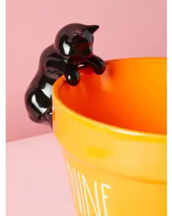 Home Goods 8in nine lives planter with figural cat offer
