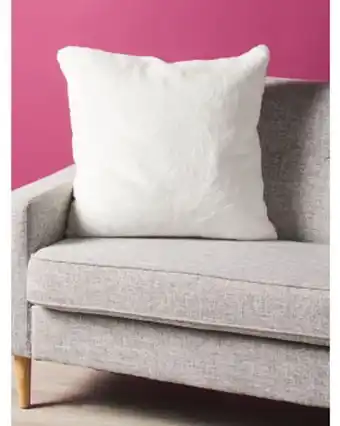 Home Goods 24x24 faux fur pillow offer