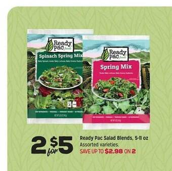 Grocery Outlet Ready pac salad blends offer