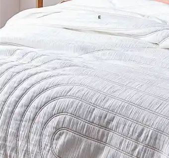 Walmart Arches quilt in full/queen offer