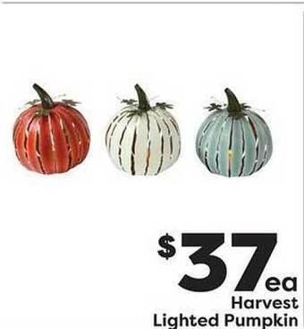 Weis Markets Harvest lighted pumpkin offer