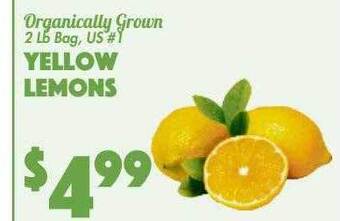 The Food Emporium Yellow lemons offer