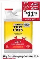 Winn Dixie Tidy cats clumping cat litter offer